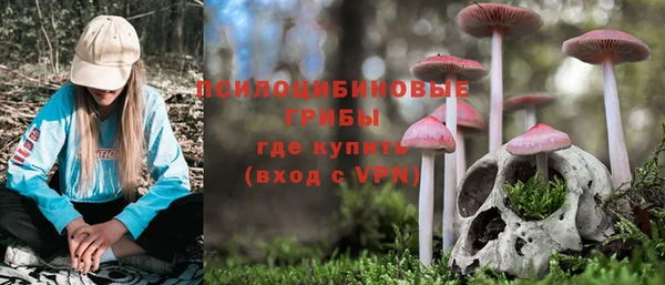 гидропоника Тында