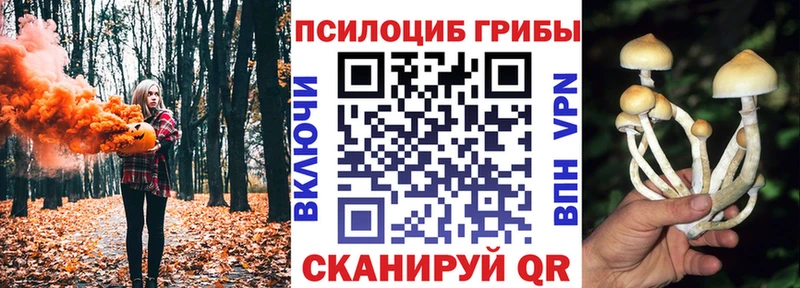 blacksprut вход Неман Псилоцибиновые грибы ЛСД